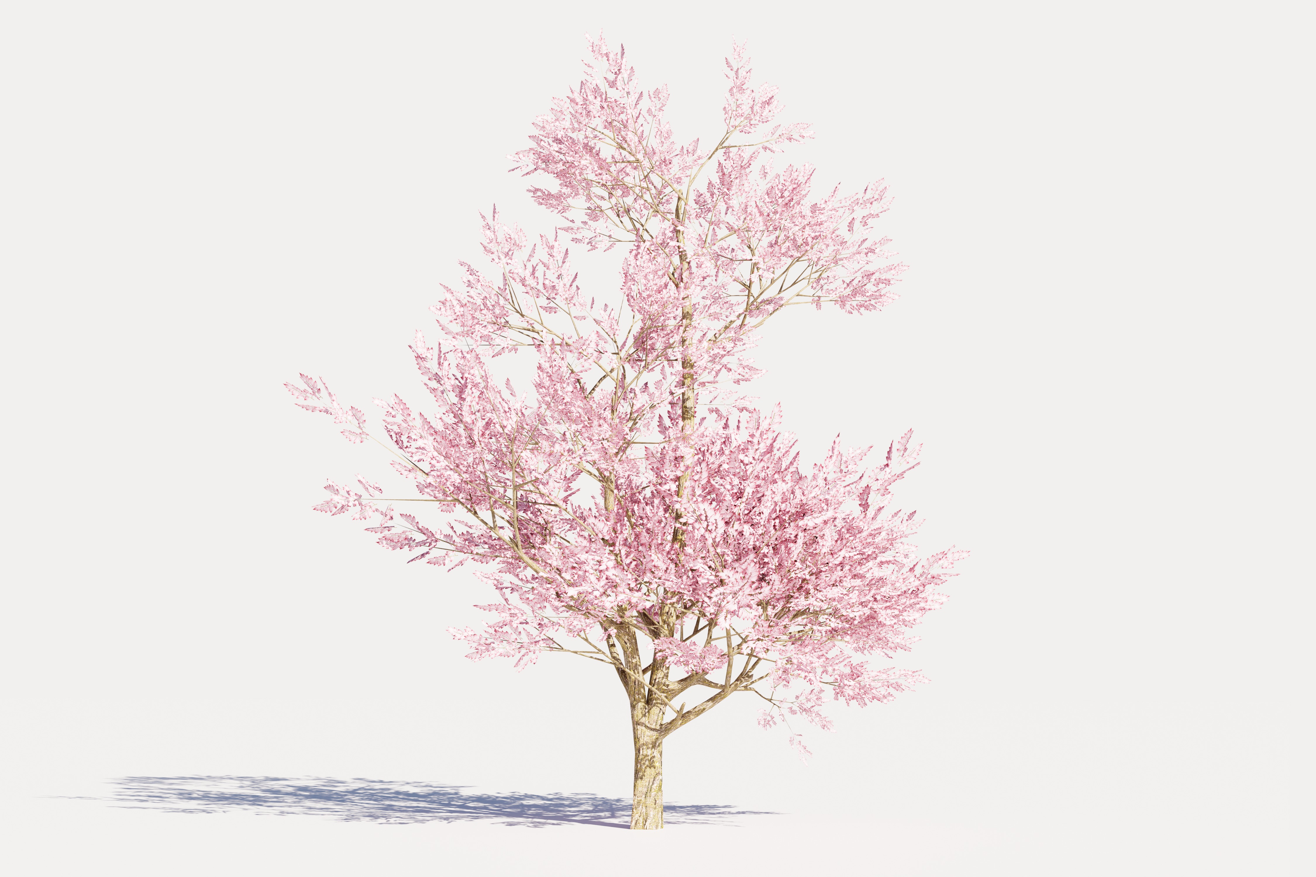 4 Pink Tree Low-poly 3D model_2