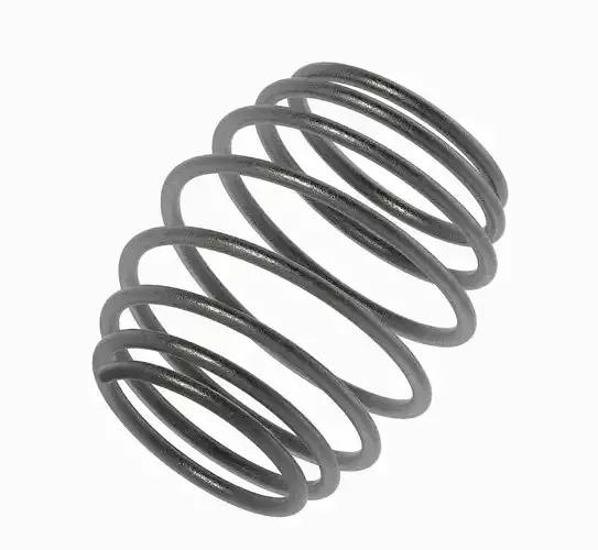 Steel Convex Spring 3D print model