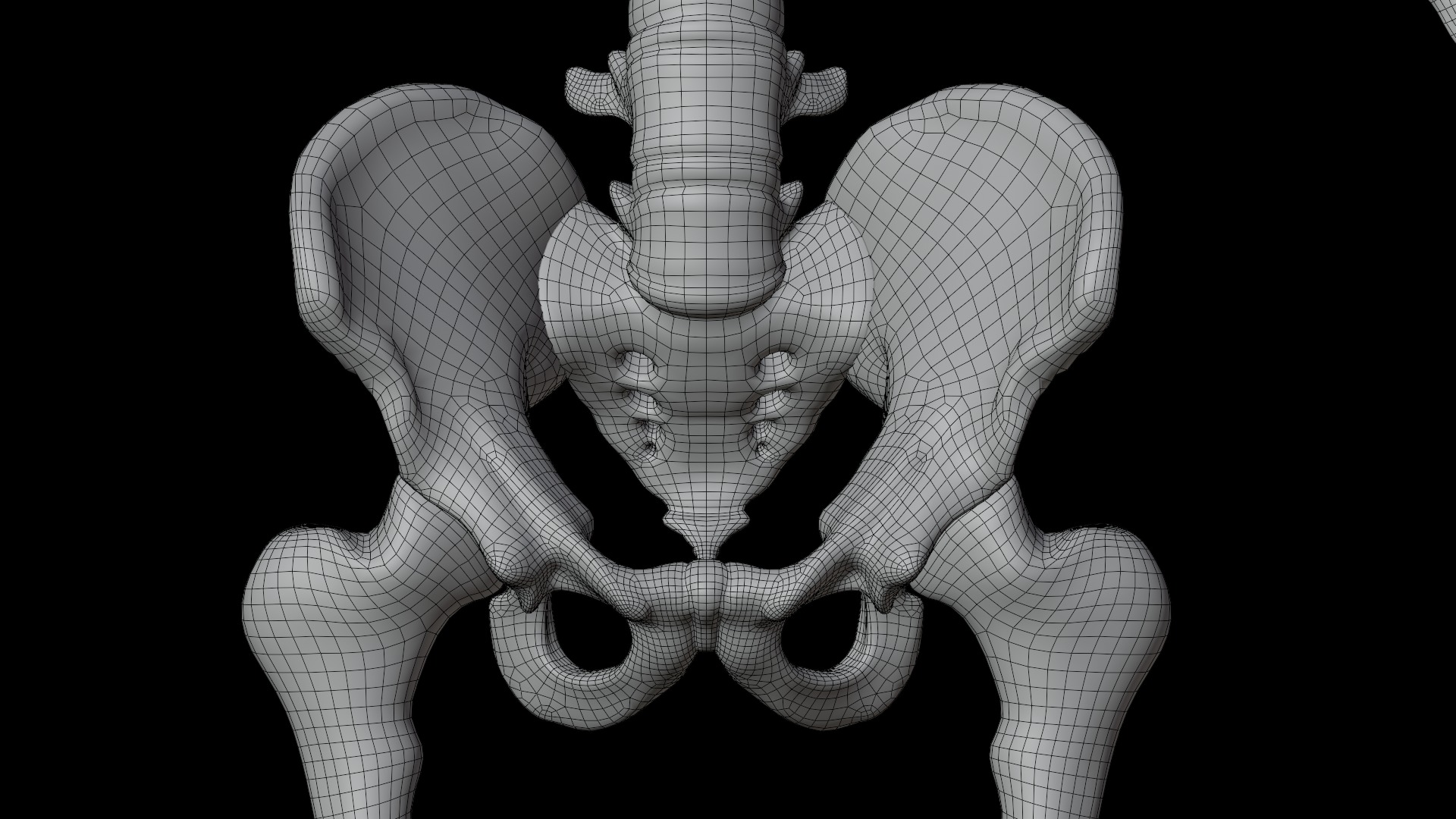 Skeleton Rigged Low-poly 3D model_23