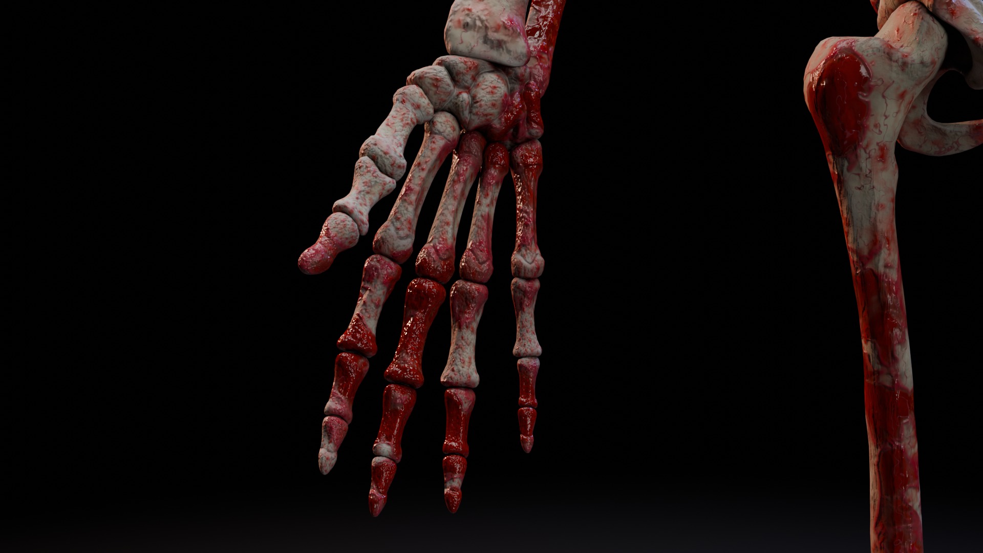 Skeleton Rigged Low-poly 3D model_12