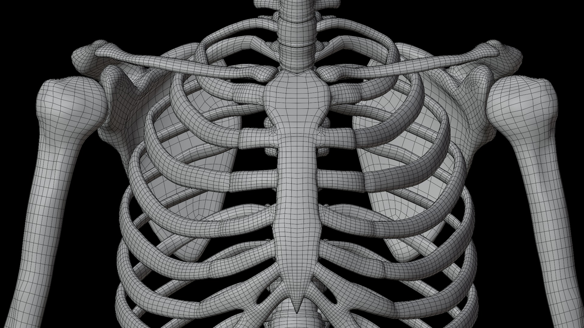 Skeleton Rigged Low-poly 3D model_21