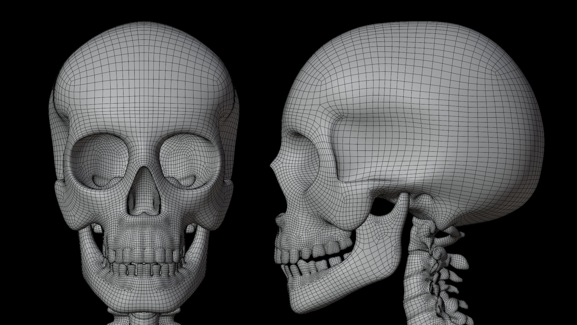 Skeleton Rigged Low-poly 3D model_19