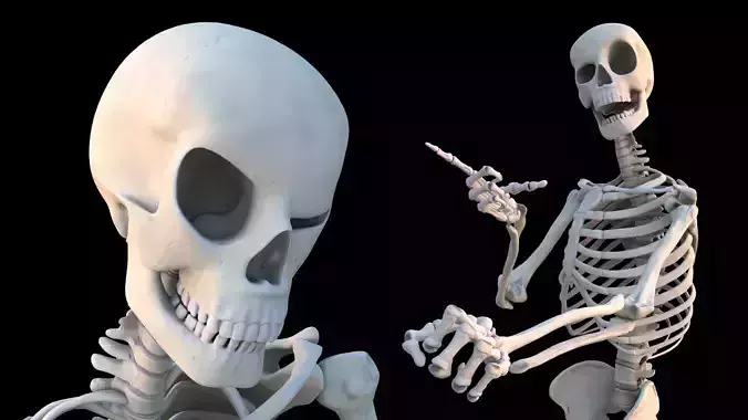 Skeleton  Rigged Low-poly 3D model