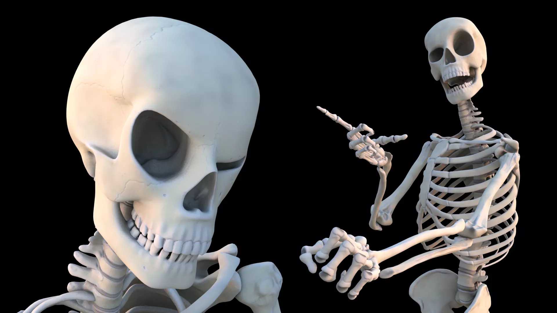 Skeleton Rigged Low-poly 3D model_0