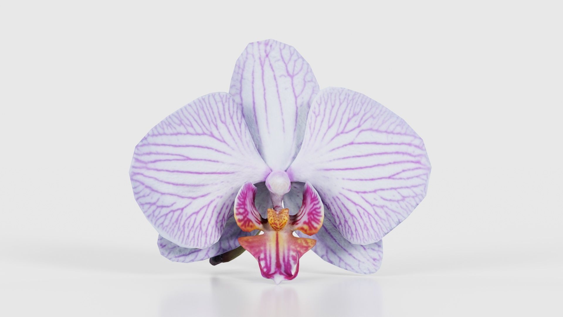 80 Flower Plant and Sprout Superbundle 3D Model Collection_25