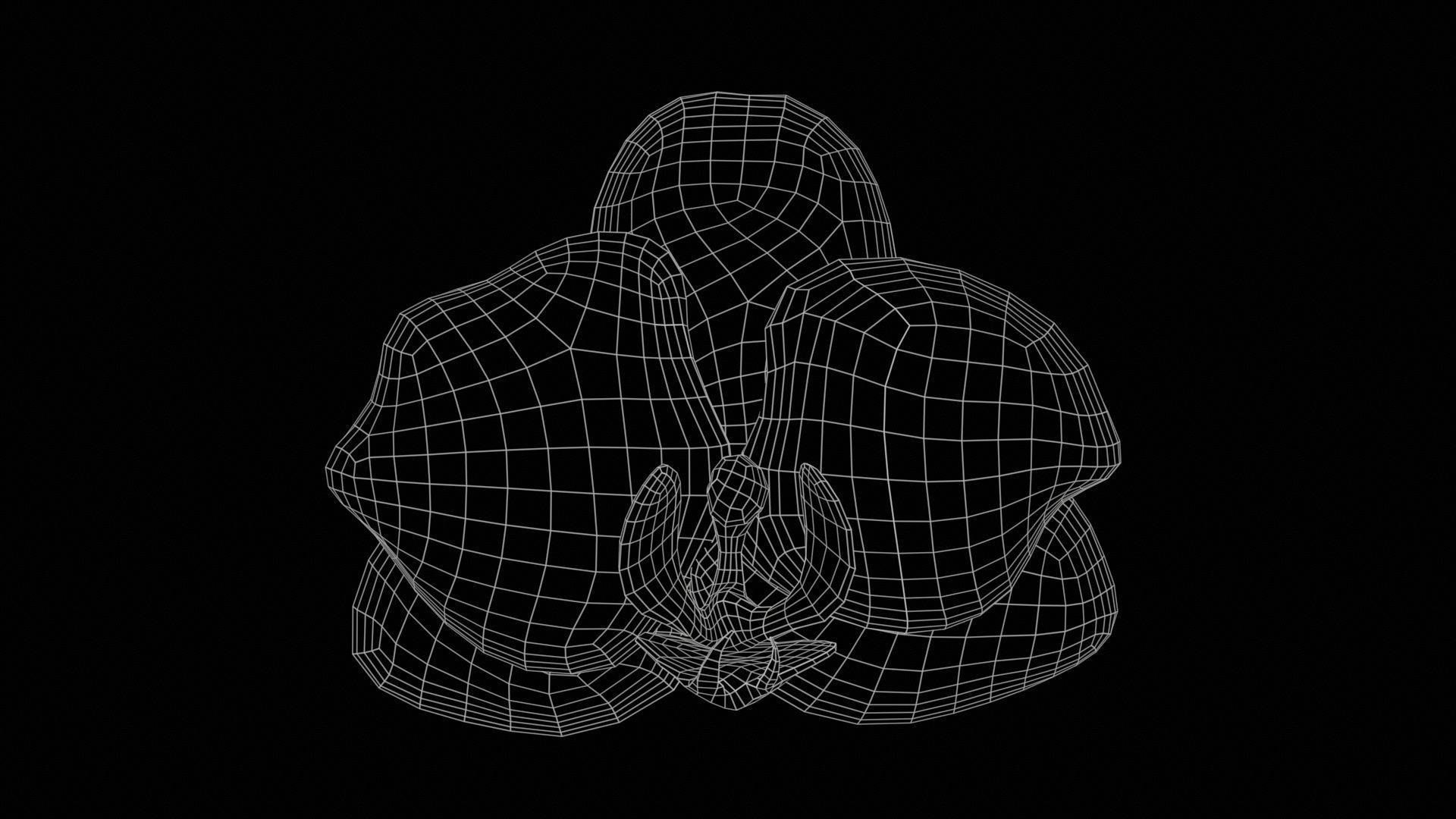 80 Flower Plant and Sprout Superbundle 3D Model Collection_17