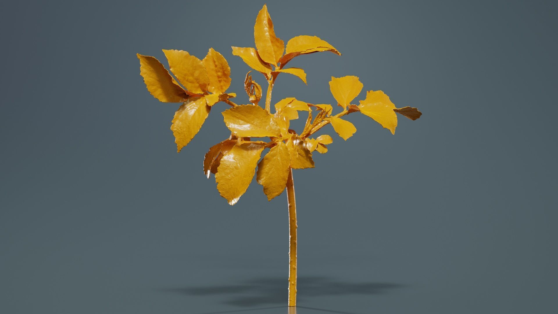 80 Flower Plant and Sprout Superbundle 3D Model Collection_11