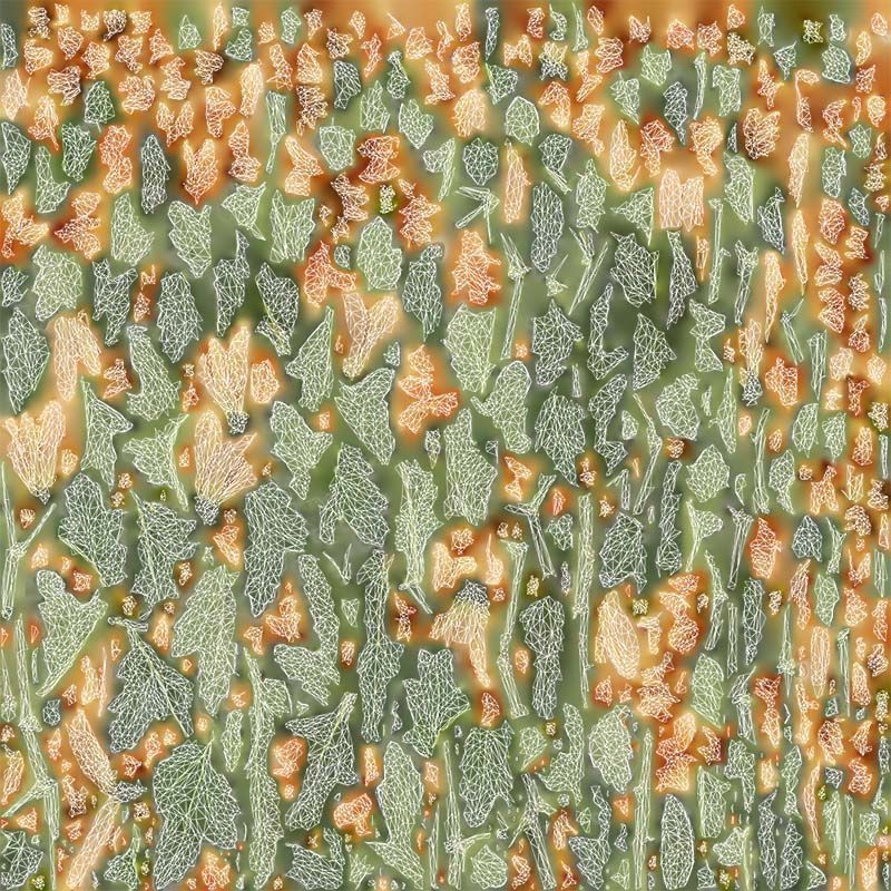 80 Flower Plant and Sprout Superbundle 3D Model Collection_21