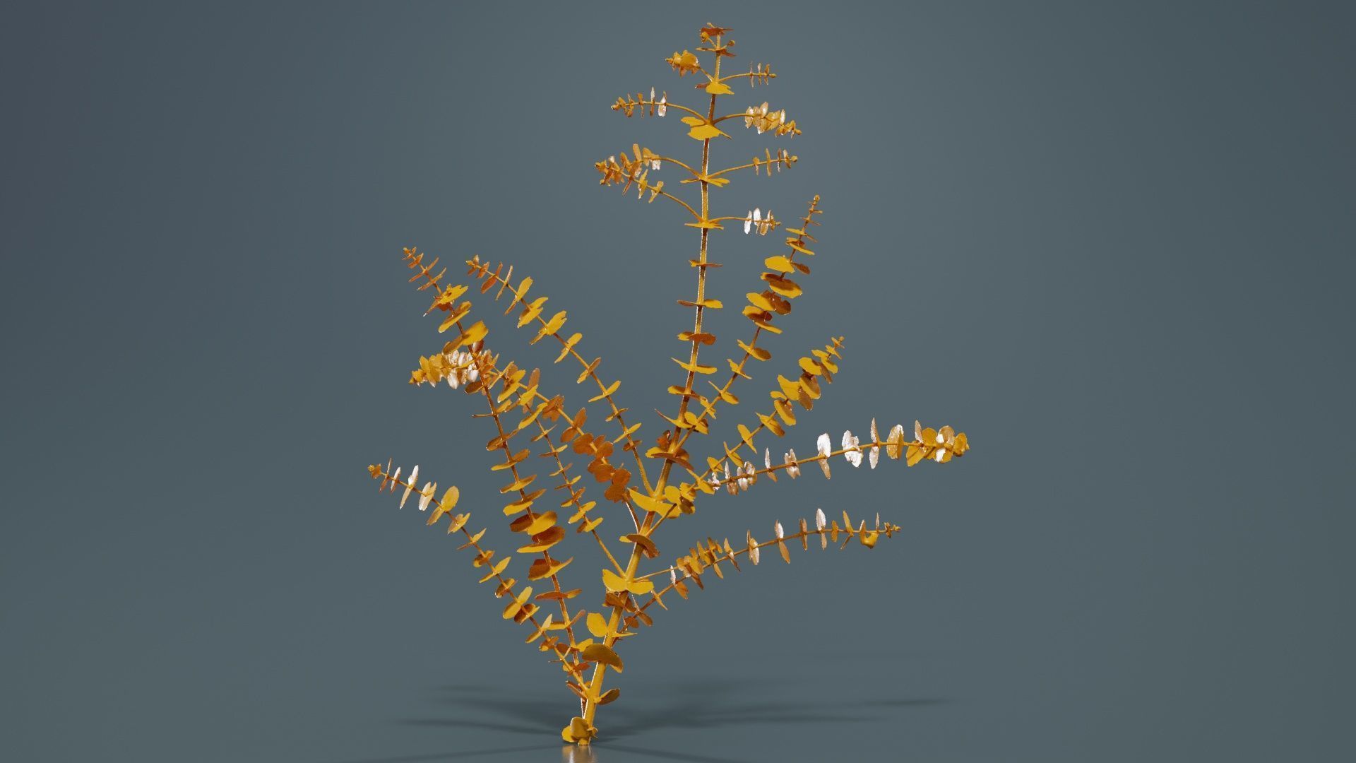 80 Flower Plant and Sprout Superbundle 3D Model Collection_3