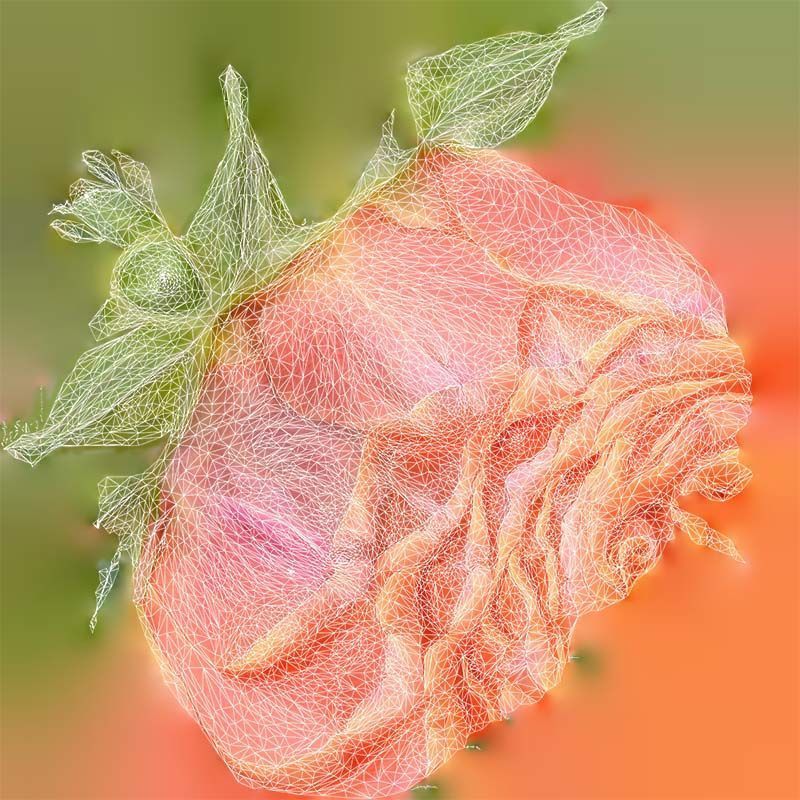 80 Flower Plant and Sprout Superbundle 3D Model Collection_20