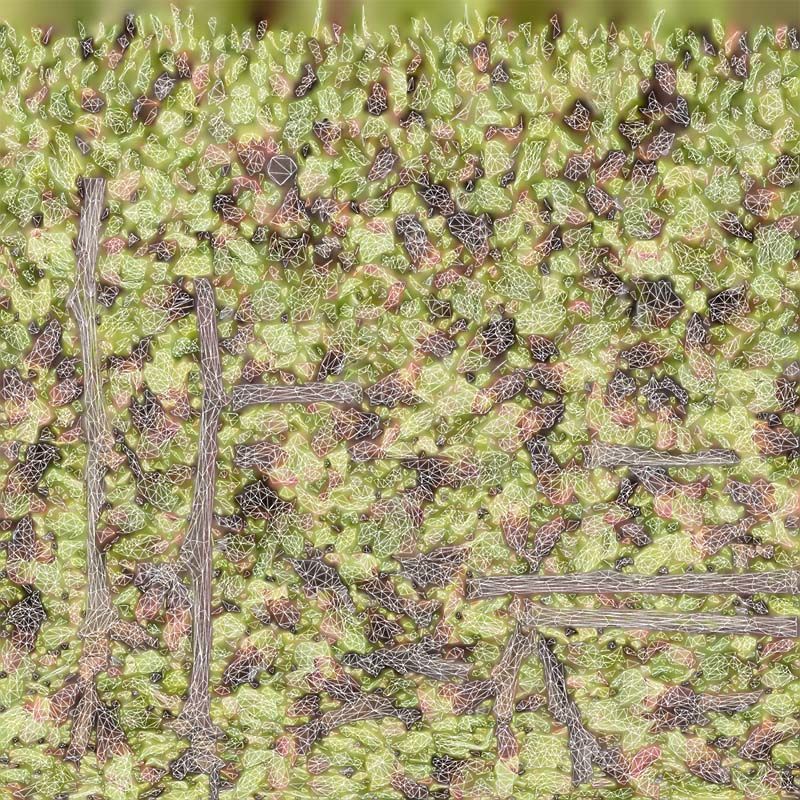 80 Flower Plant and Sprout Superbundle 3D Model Collection_24