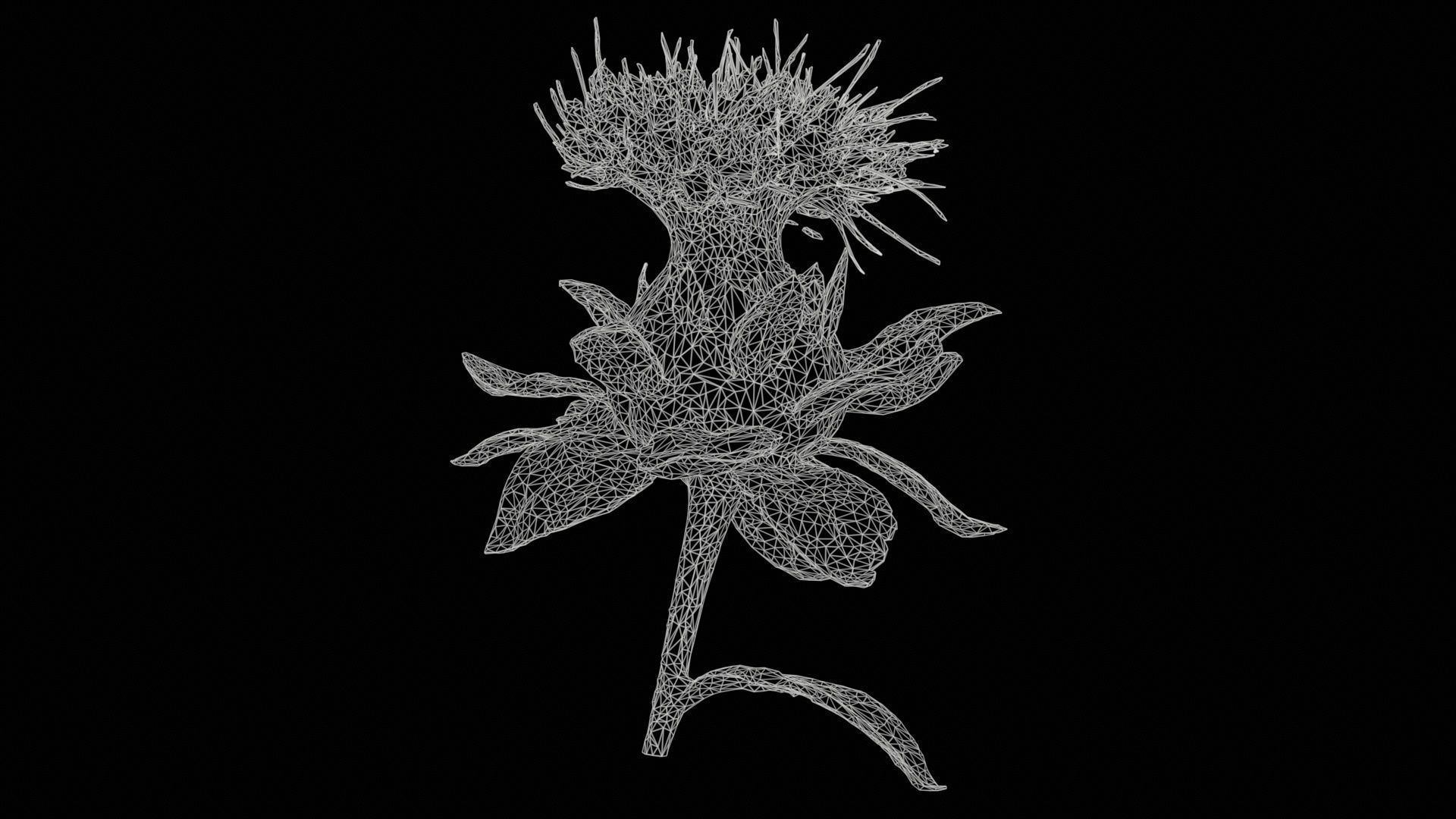 80 Flower Plant and Sprout Superbundle 3D Model Collection_16