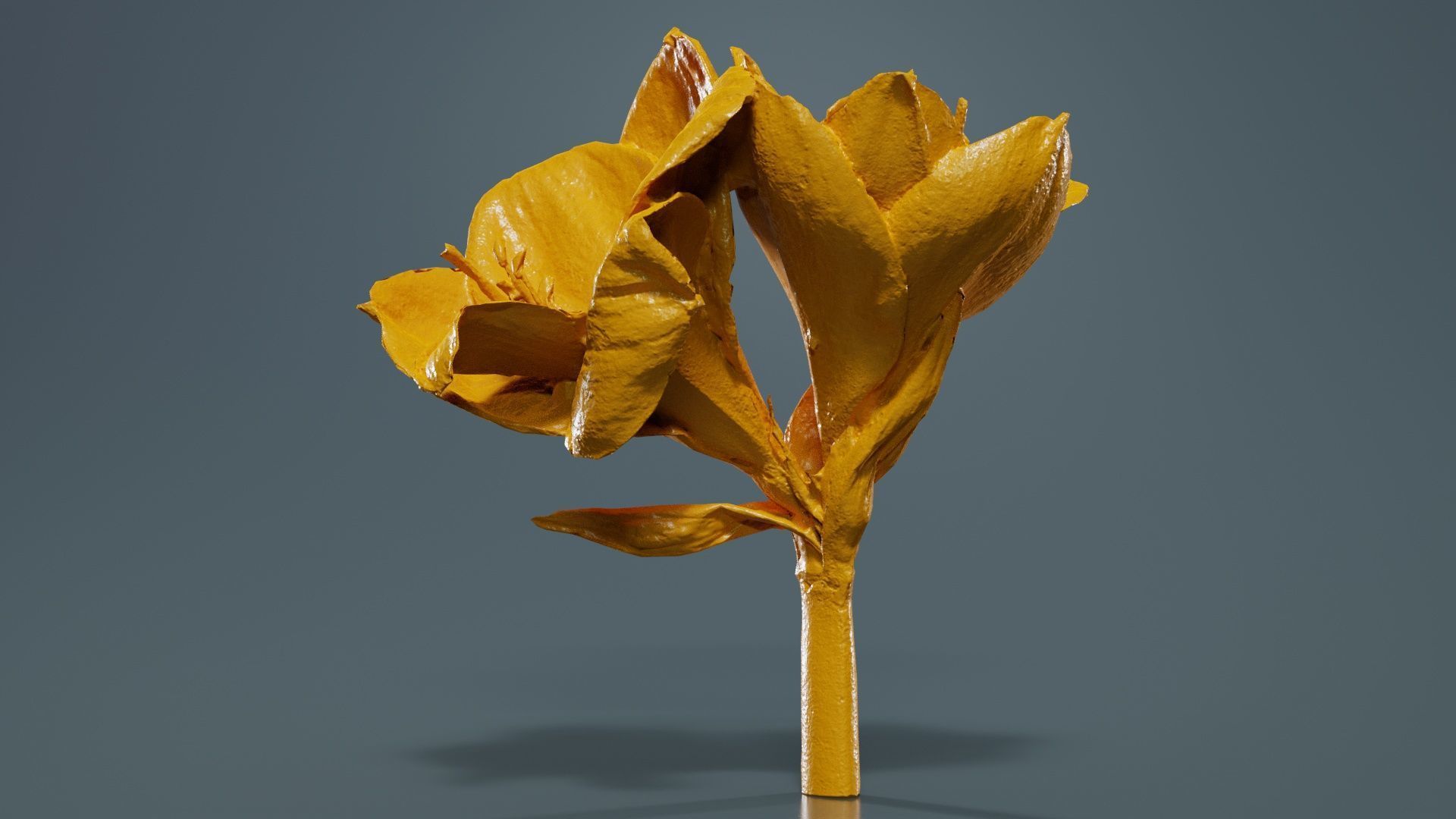 80 Flower Plant and Sprout Superbundle 3D Model Collection_6