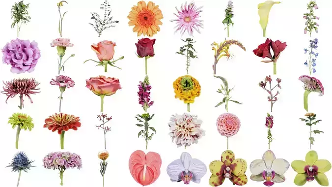 80 Flower Plant and Sprout Superbundle 3D Model Collection