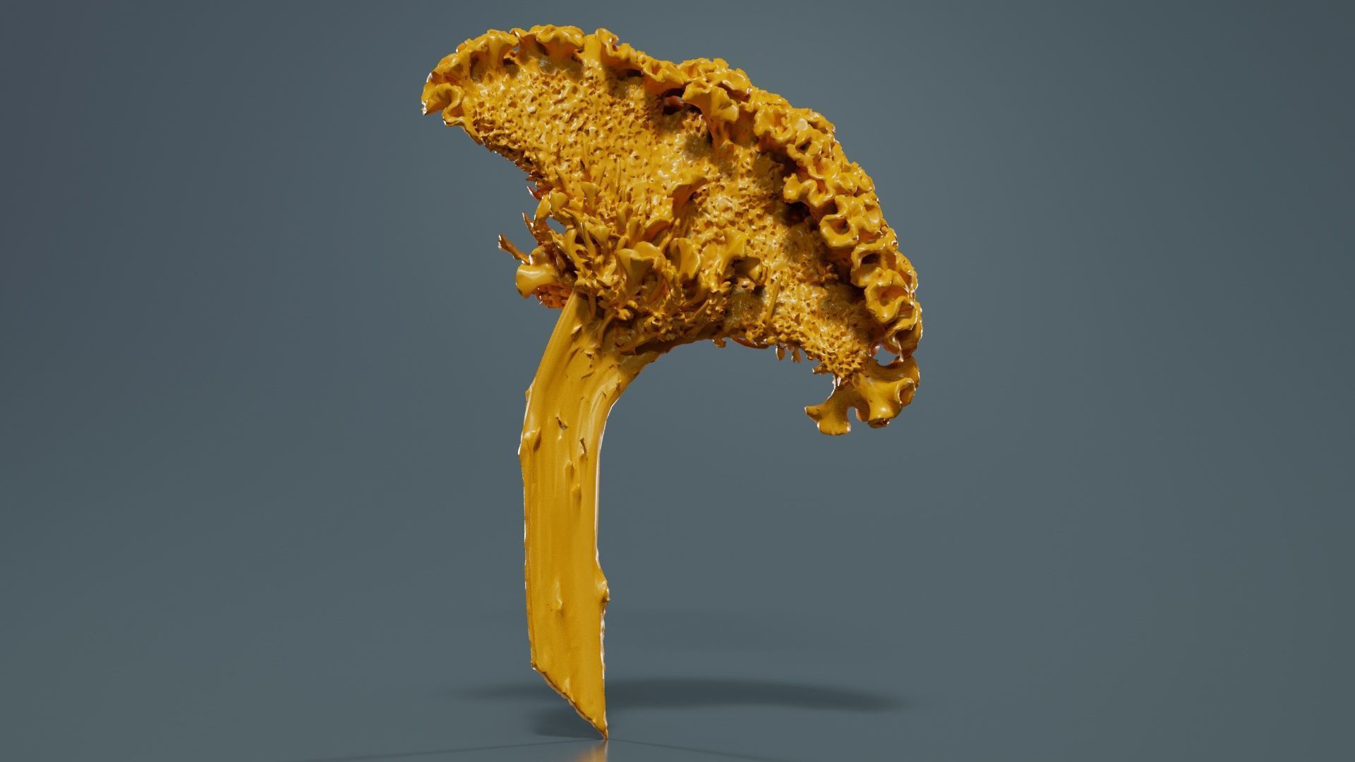 80 Flower Plant and Sprout Superbundle 3D Model Collection_7