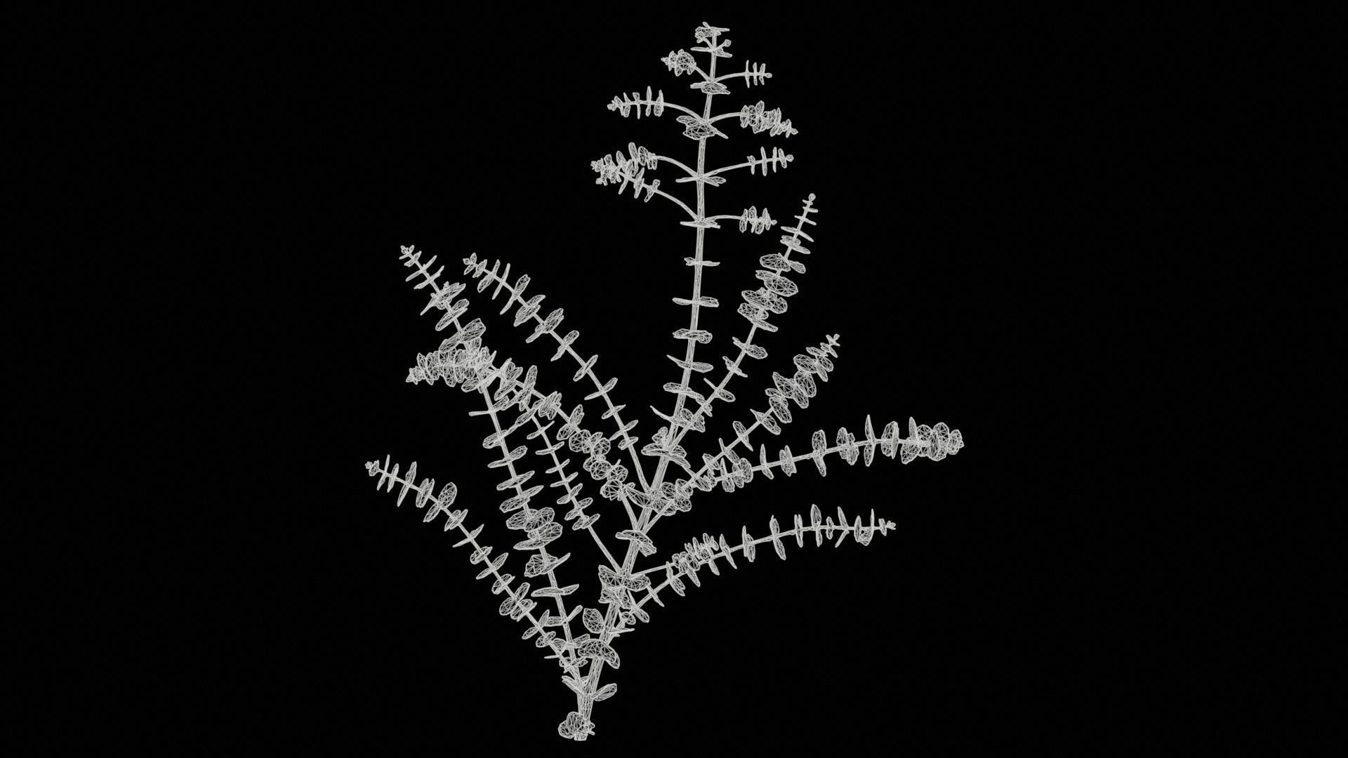 80 Flower Plant and Sprout Superbundle 3D Model Collection_13