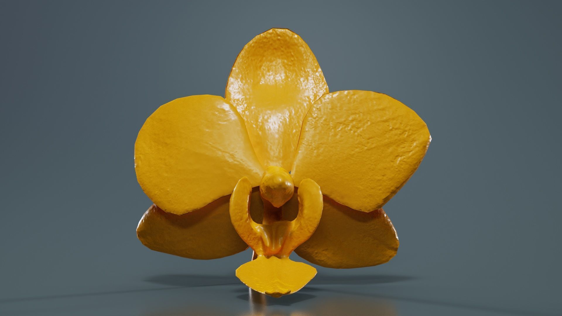 80 Flower Plant and Sprout Superbundle 3D Model Collection_10