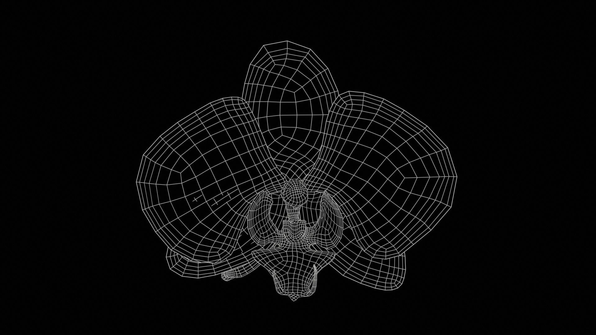 80 Flower Plant and Sprout Superbundle 3D Model Collection_15