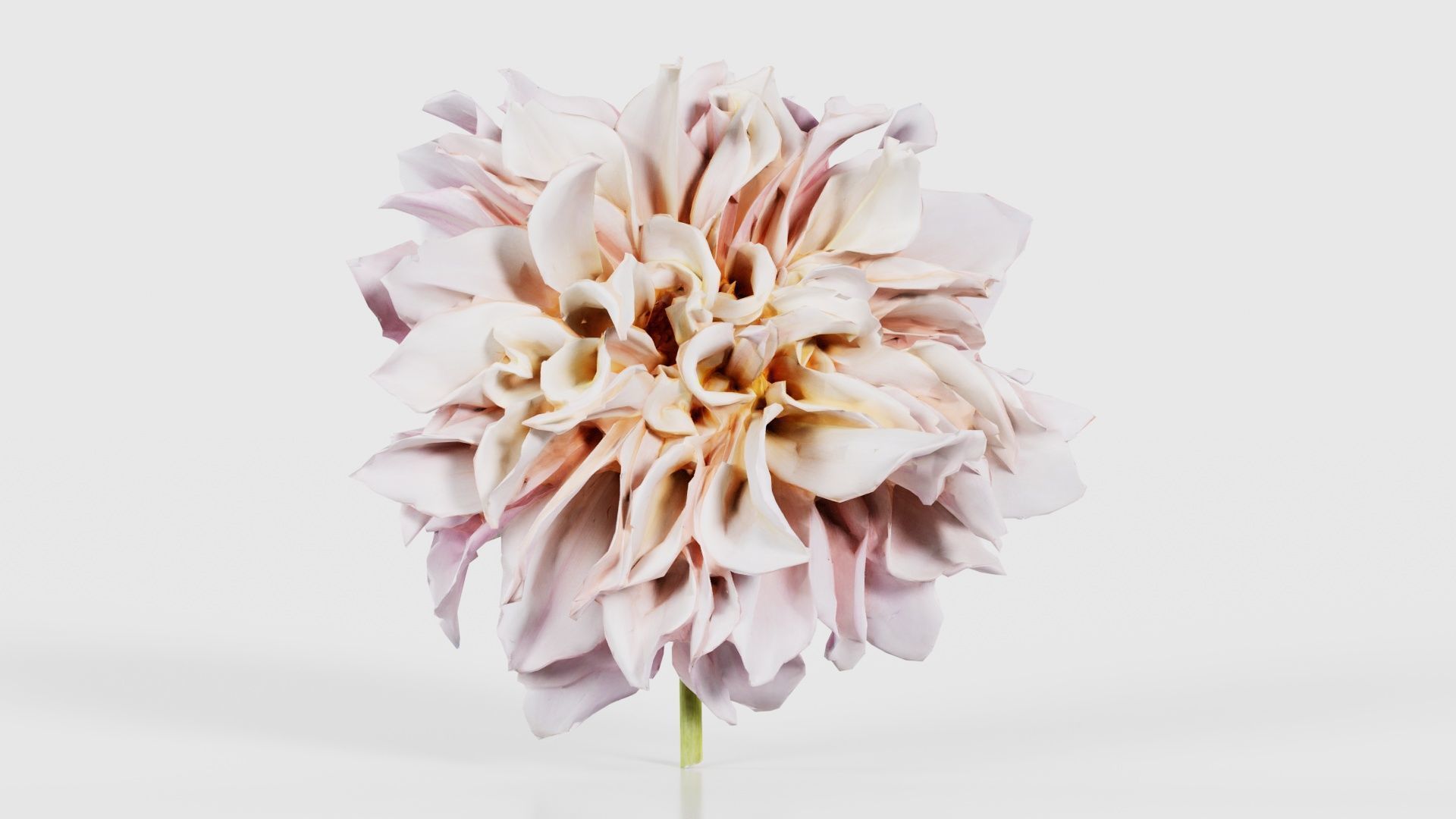 80 Flower Plant and Sprout Superbundle 3D Model Collection_52