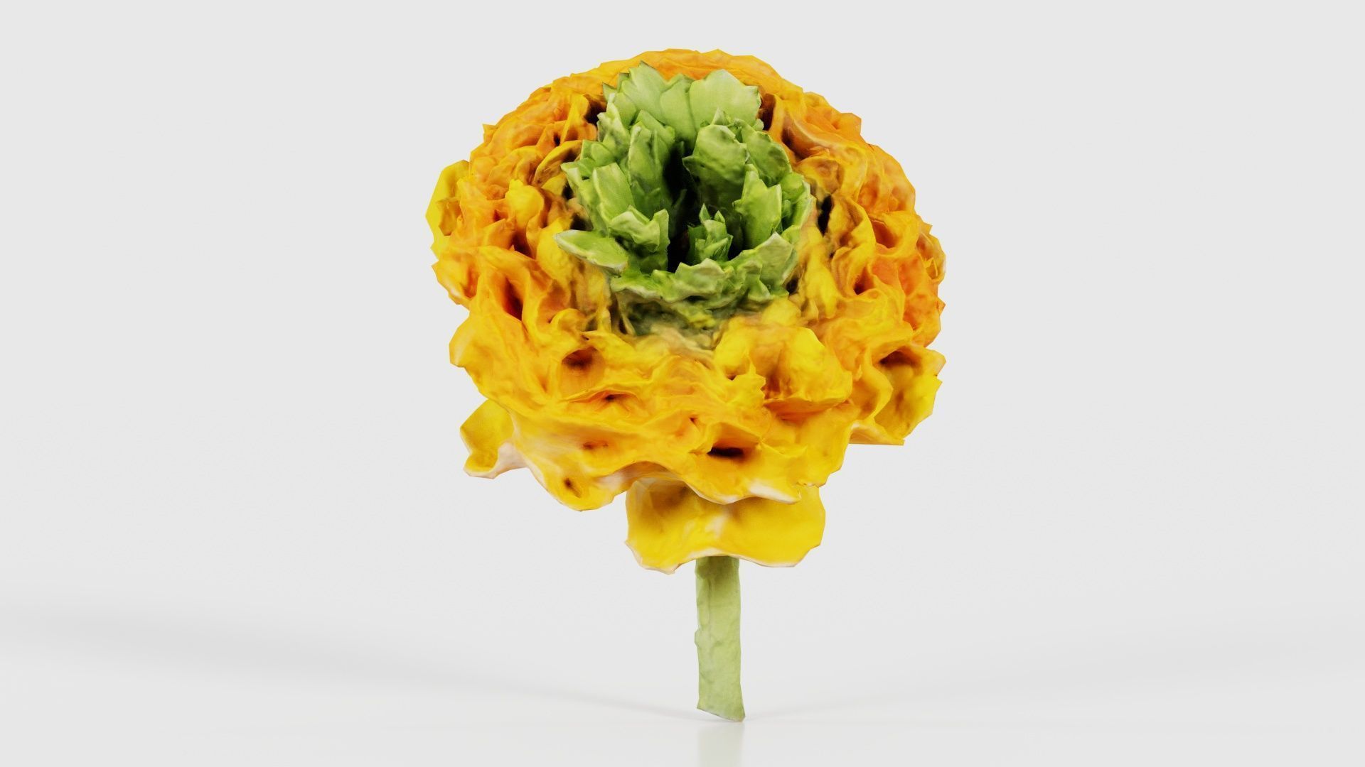 80 Flower Plant and Sprout Superbundle 3D Model Collection_45