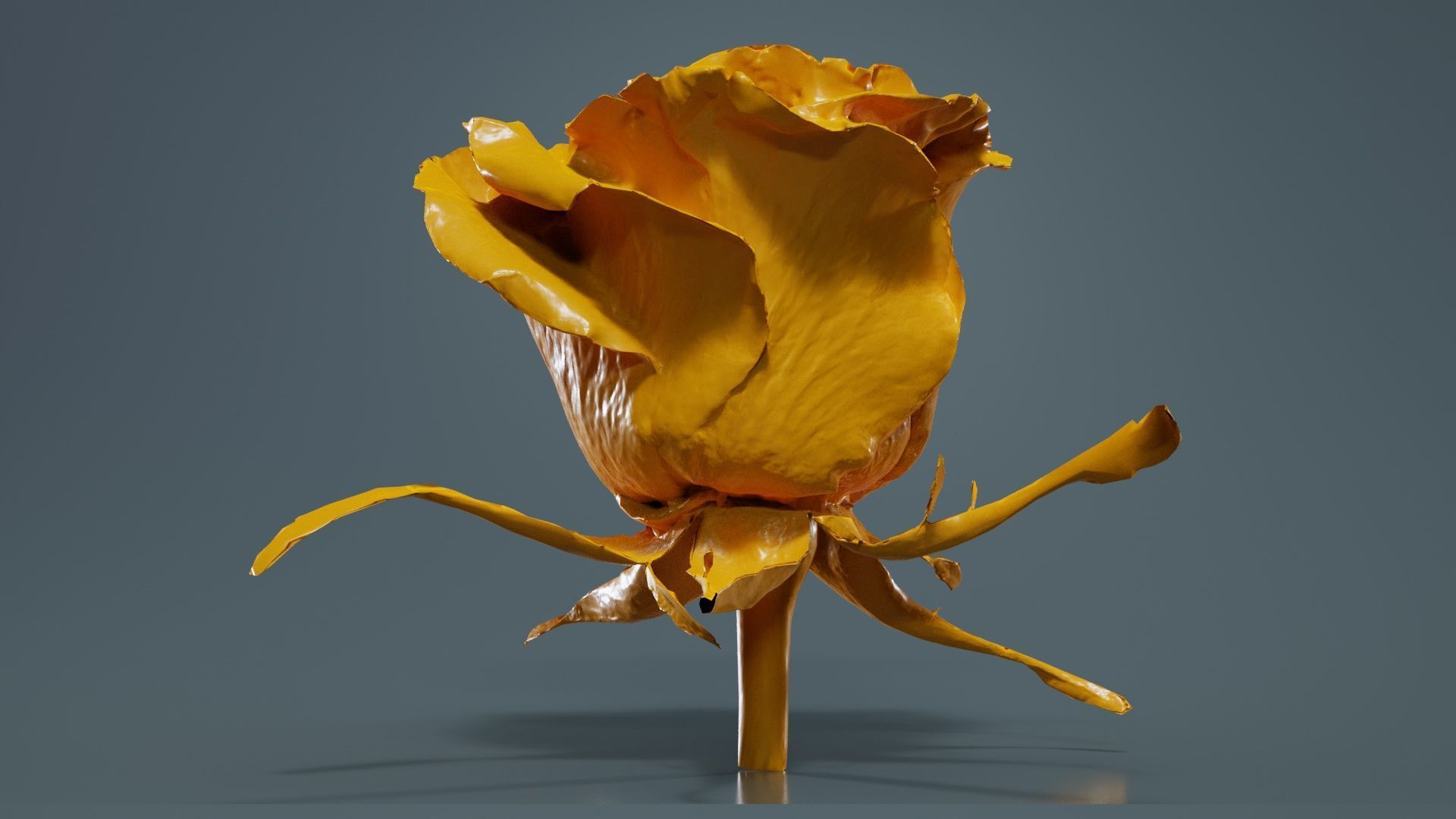 80 Flower Plant and Sprout Superbundle 3D Model Collection_5