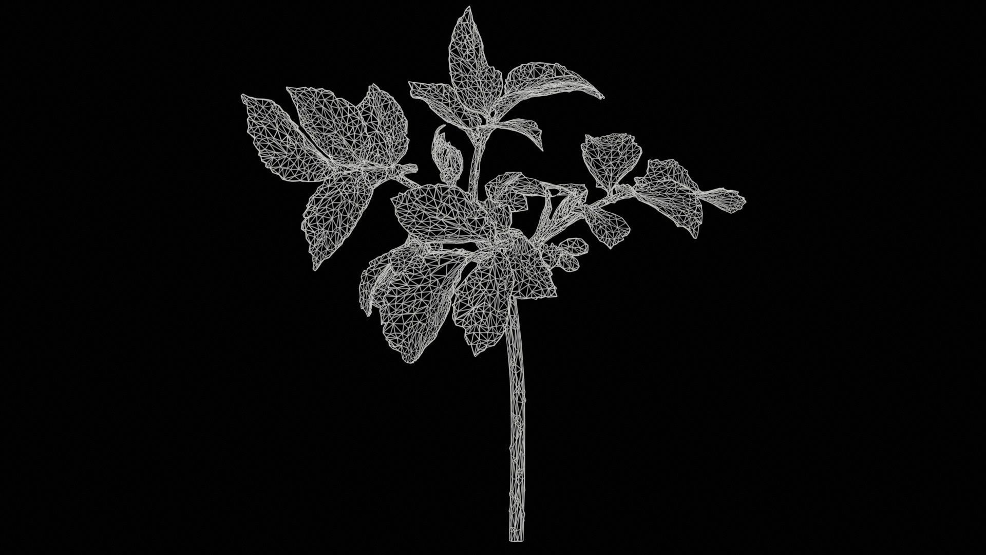 80 Flower Plant and Sprout Superbundle 3D Model Collection_18