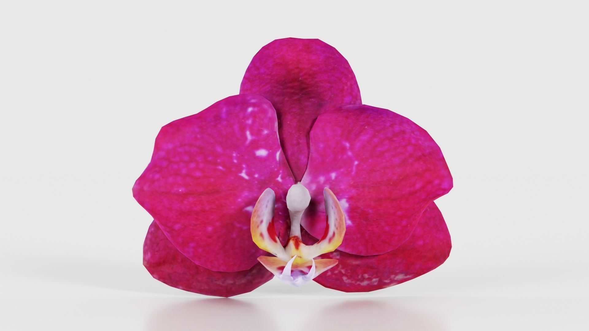 80 Flower Plant and Sprout Superbundle 3D Model Collection_63