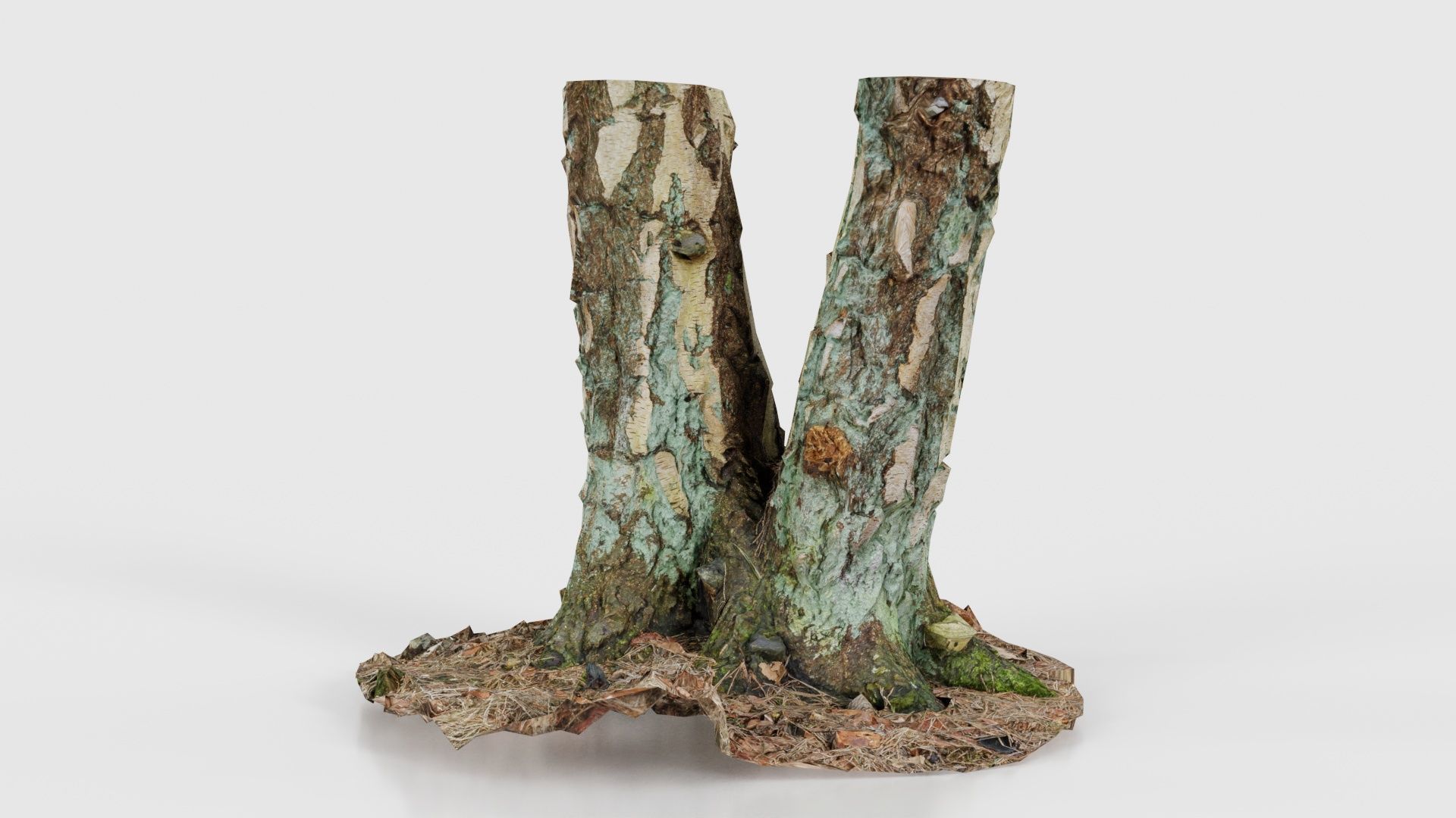55 Bark Tree and Stump Superbundle 3D Model Collection_43
