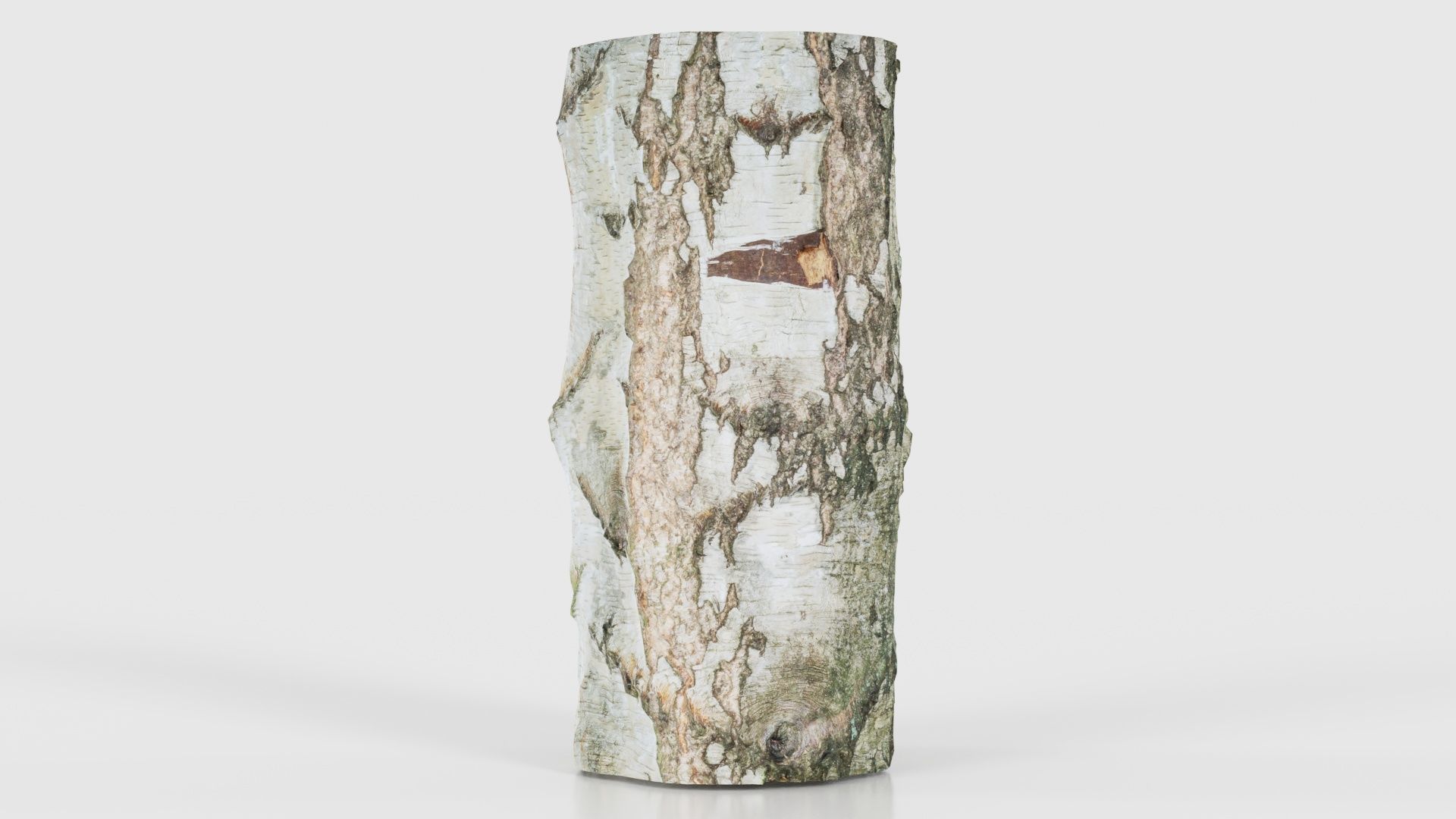 55 Bark Tree and Stump Superbundle 3D Model Collection_46