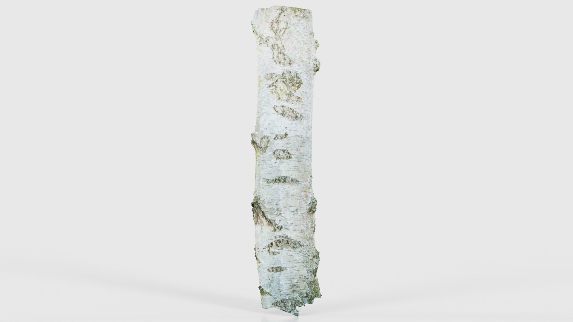 55 Bark Tree and Stump Superbundle 3D Model Collection_40