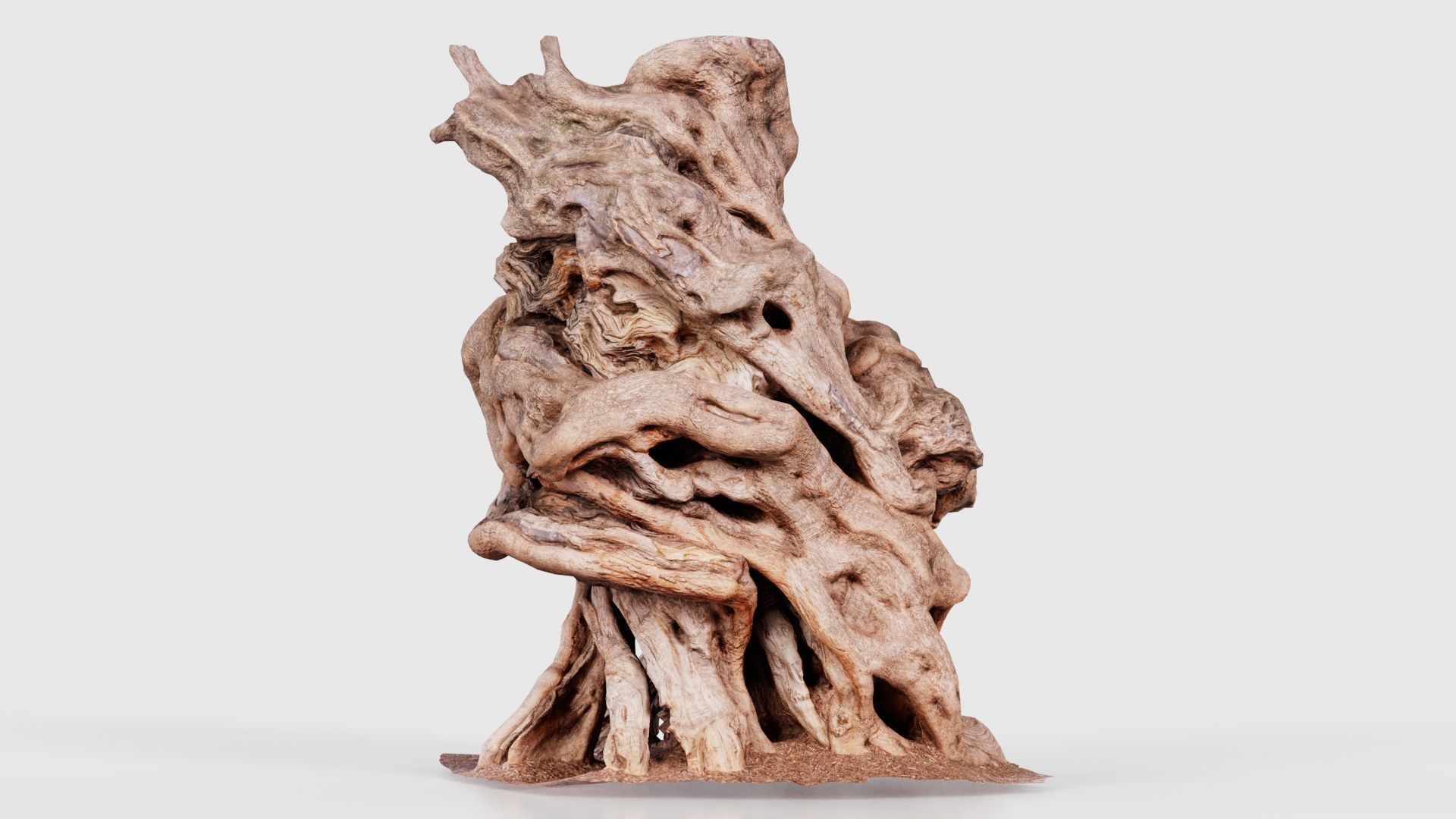 55 Bark Tree and Stump Superbundle 3D Model Collection_37