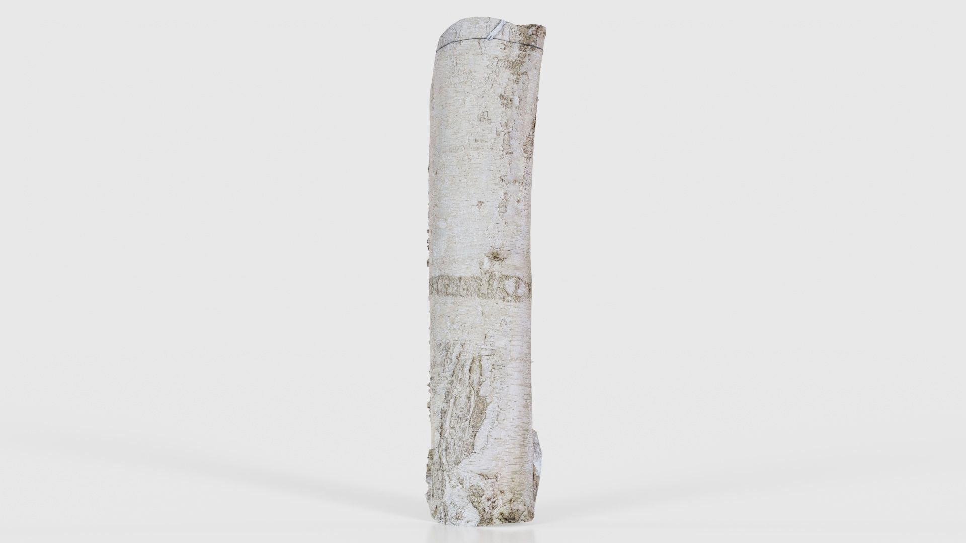 55 Bark Tree and Stump Superbundle 3D Model Collection_41