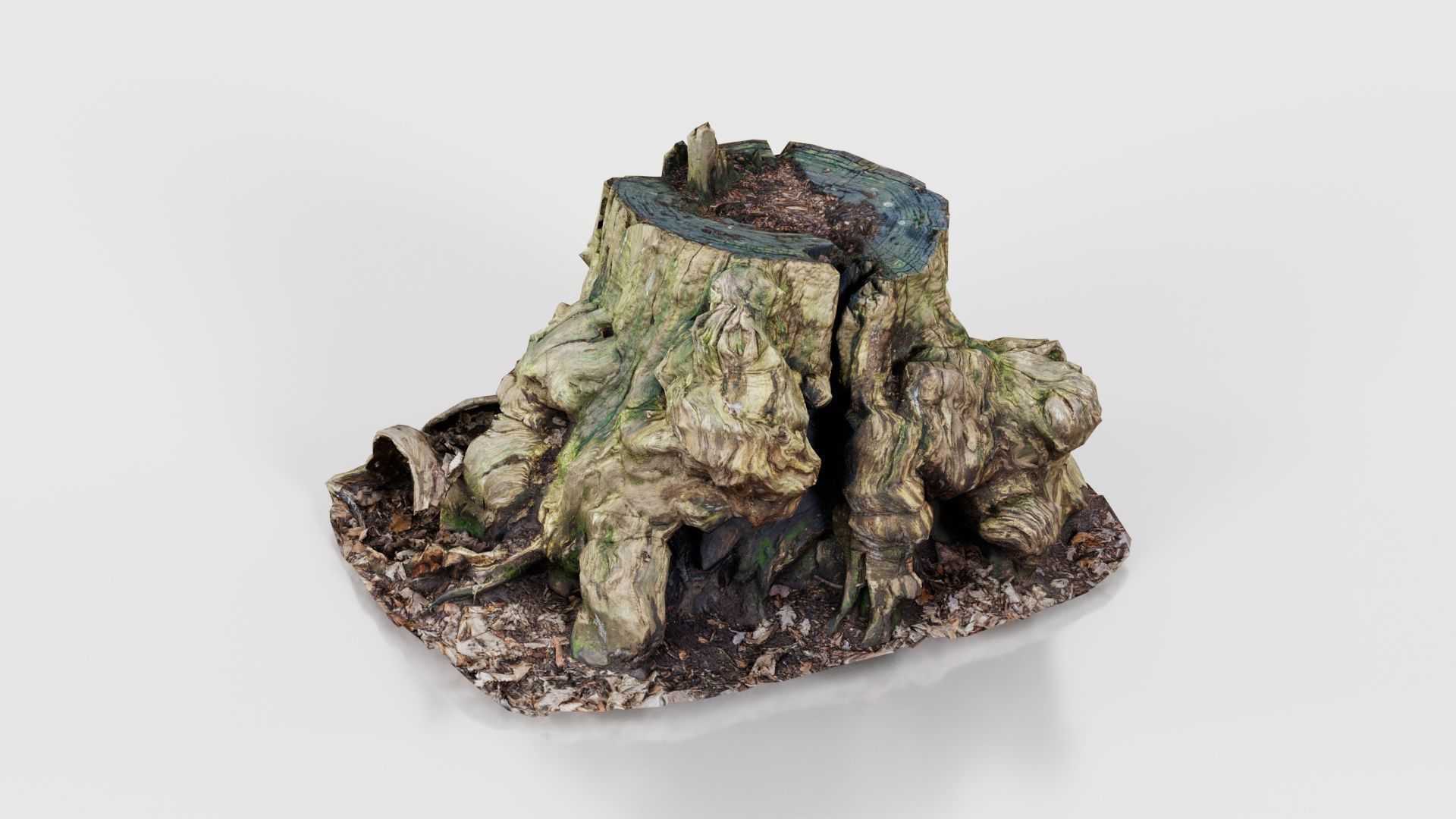 55 Bark Tree and Stump Superbundle 3D Model Collection_48