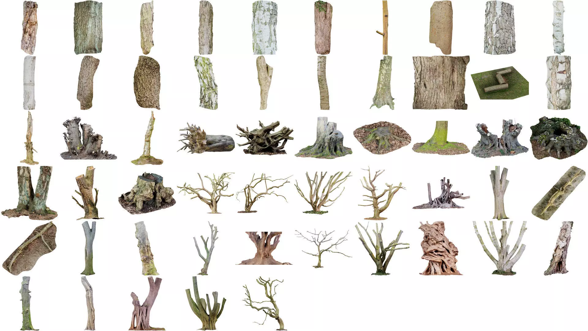 55 Bark Tree and Stump Superbundle 3D Model Collection_0