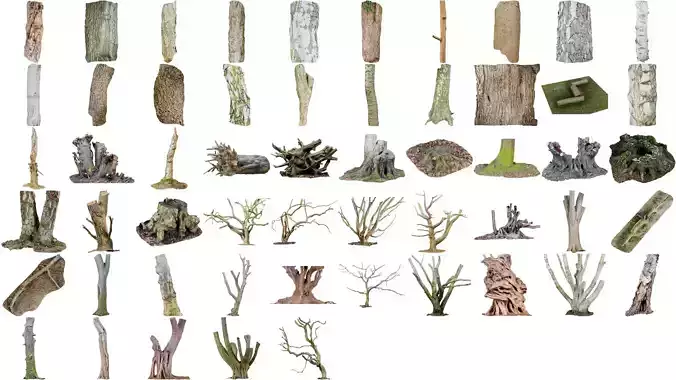 55 Bark Tree and Stump Superbundle 3D Model Collection