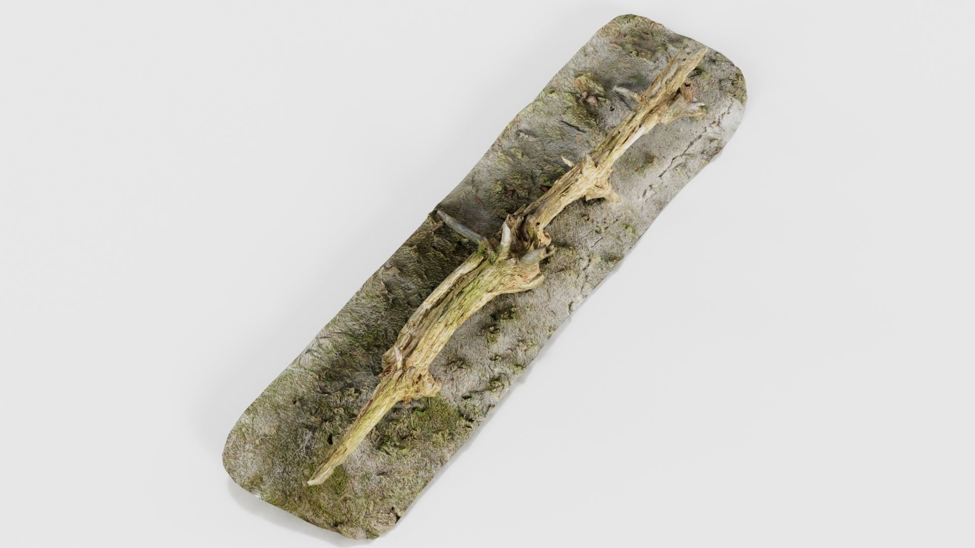 55 Bark Tree and Stump Superbundle 3D Model Collection_32