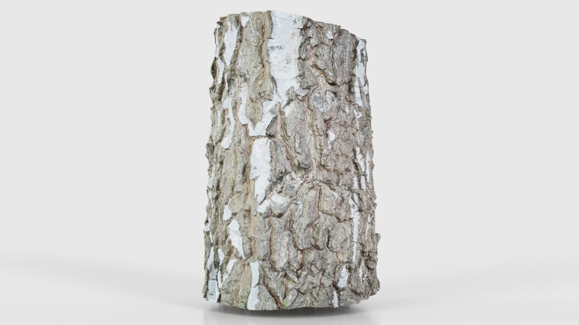 55 Bark Tree and Stump Superbundle 3D Model Collection_39