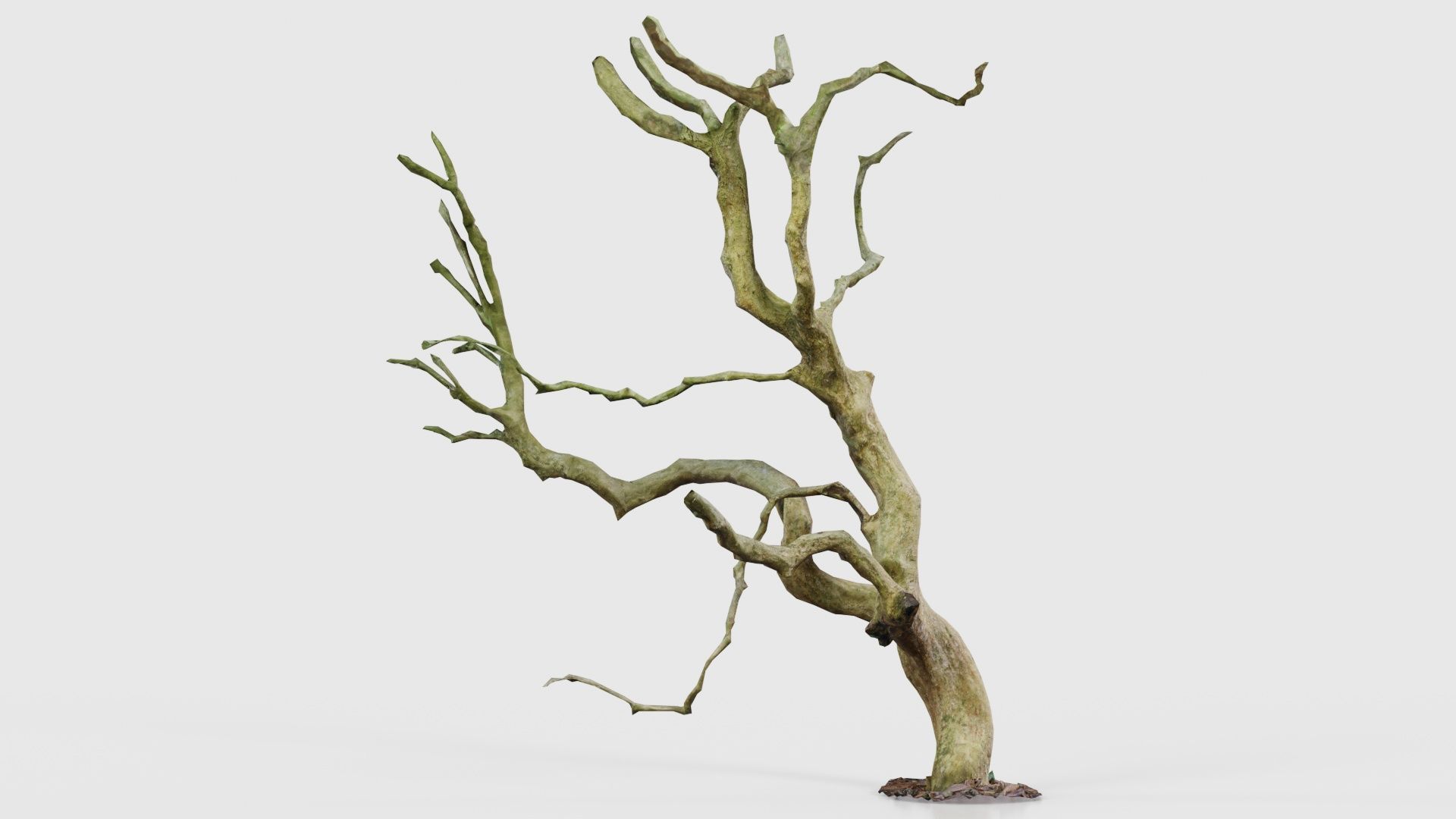 55 Bark Tree and Stump Superbundle 3D Model Collection_49