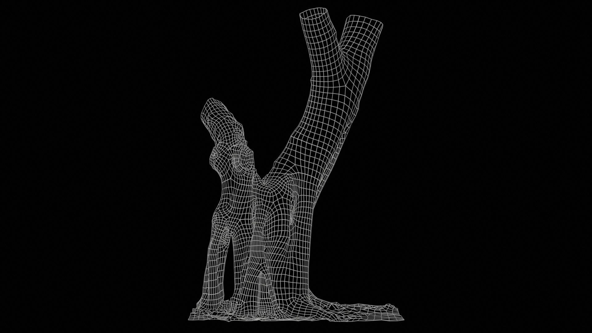 55 Bark Tree and Stump Superbundle 3D Model Collection_18