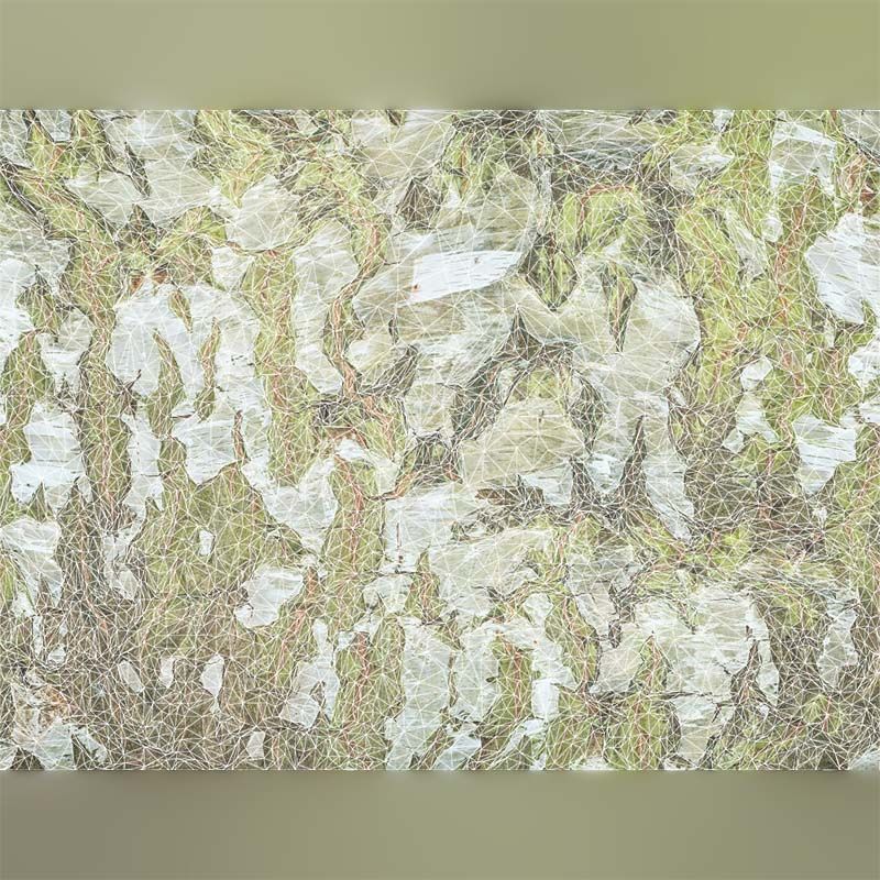 55 Bark Tree and Stump Superbundle 3D Model Collection_21