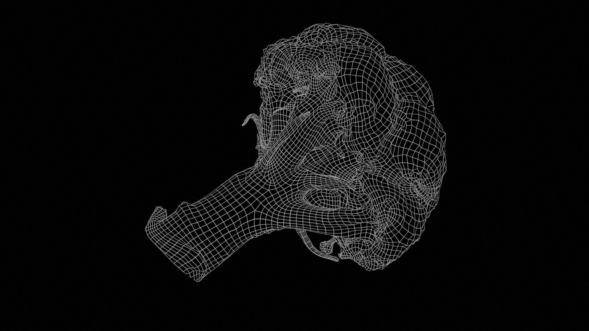 78 Fruit and Vegetable Superbundle 3D Model Collection_21