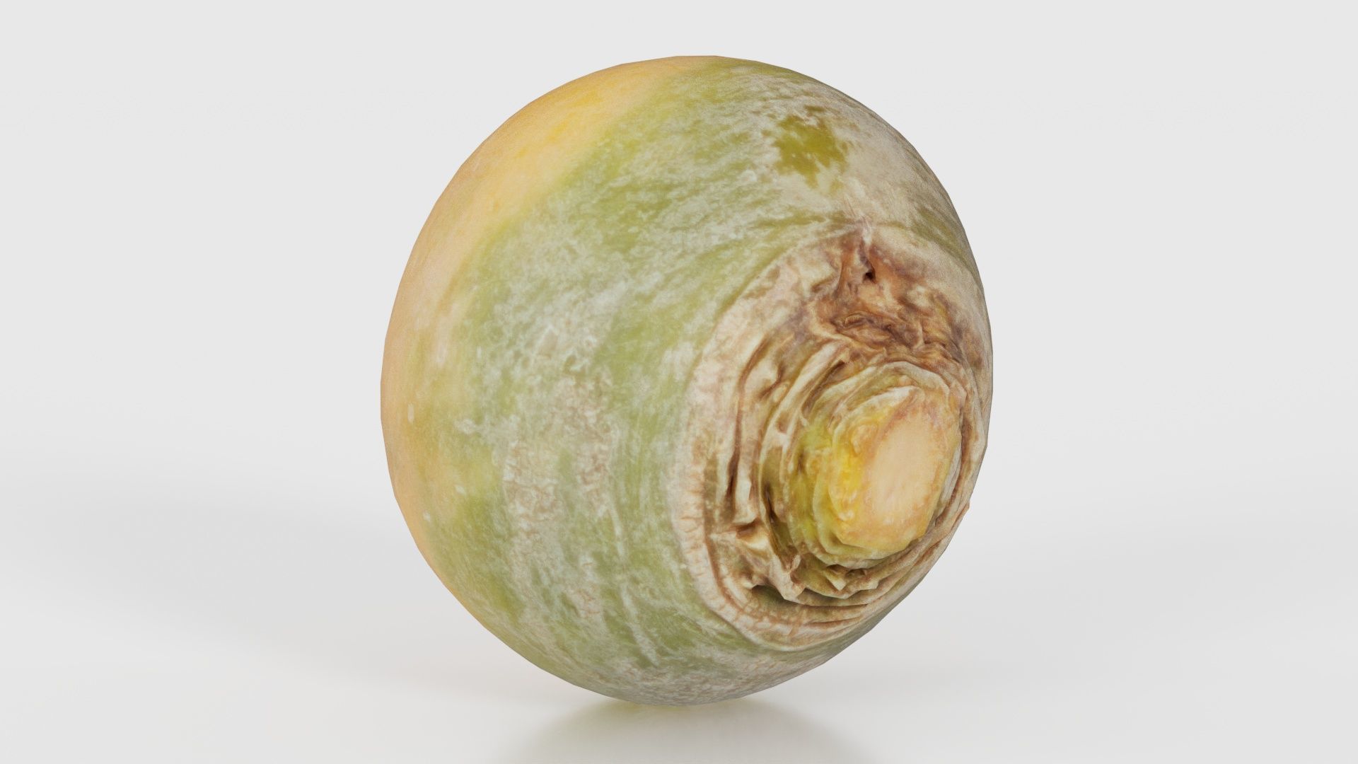 78 Fruit and Vegetable Superbundle 3D Model Collection_53