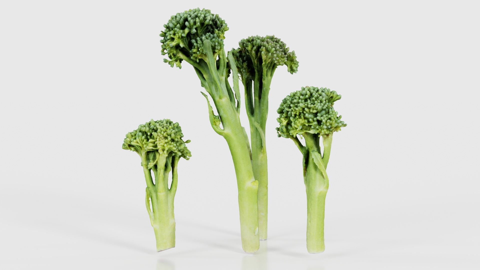 78 Fruit and Vegetable Superbundle 3D Model Collection_55