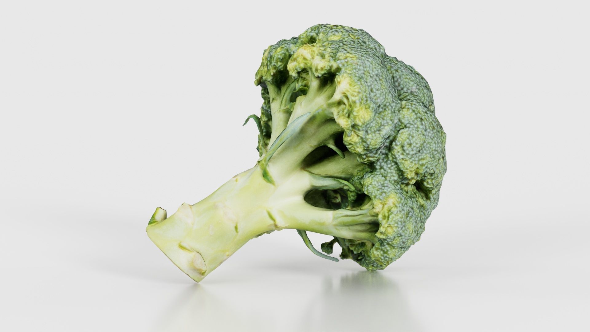 78 Fruit and Vegetable Superbundle 3D Model Collection_33