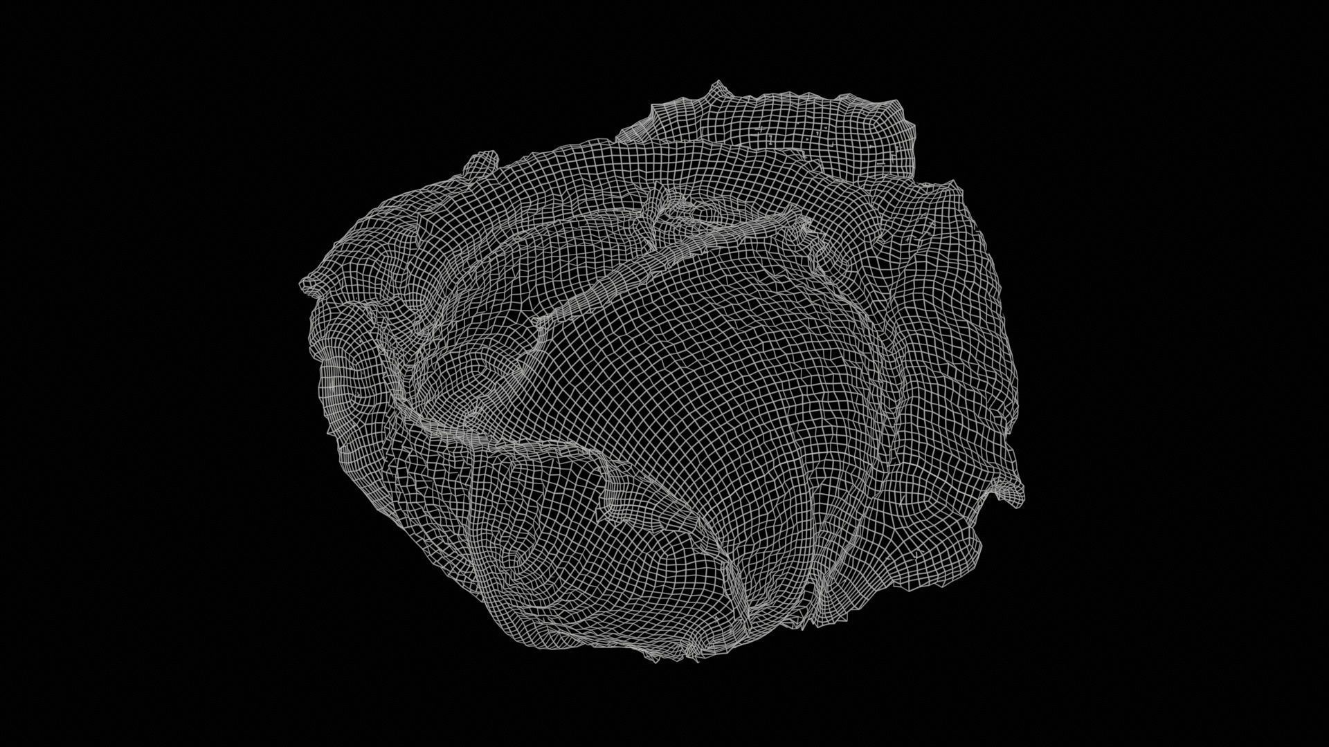 78 Fruit and Vegetable Superbundle 3D Model Collection_25