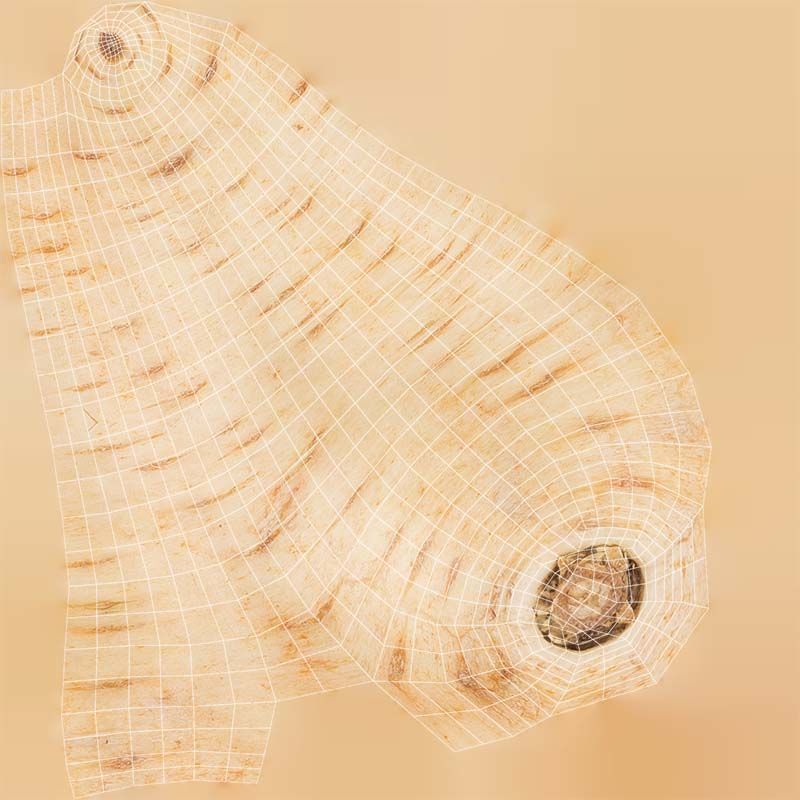 78 Fruit and Vegetable Superbundle 3D Model Collection_29