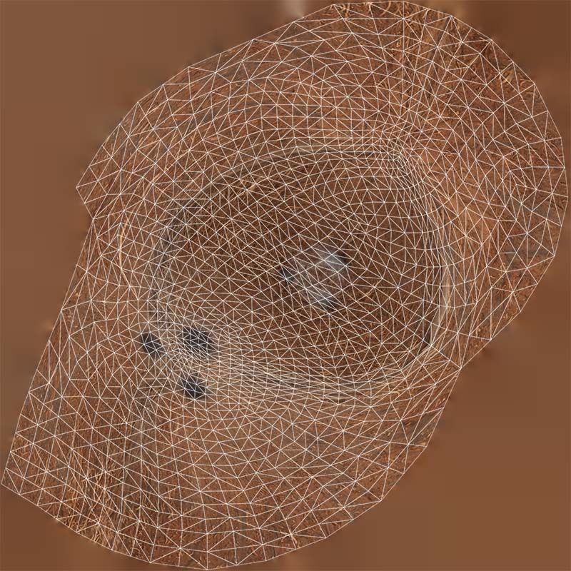 78 Fruit and Vegetable Superbundle 3D Model Collection_28