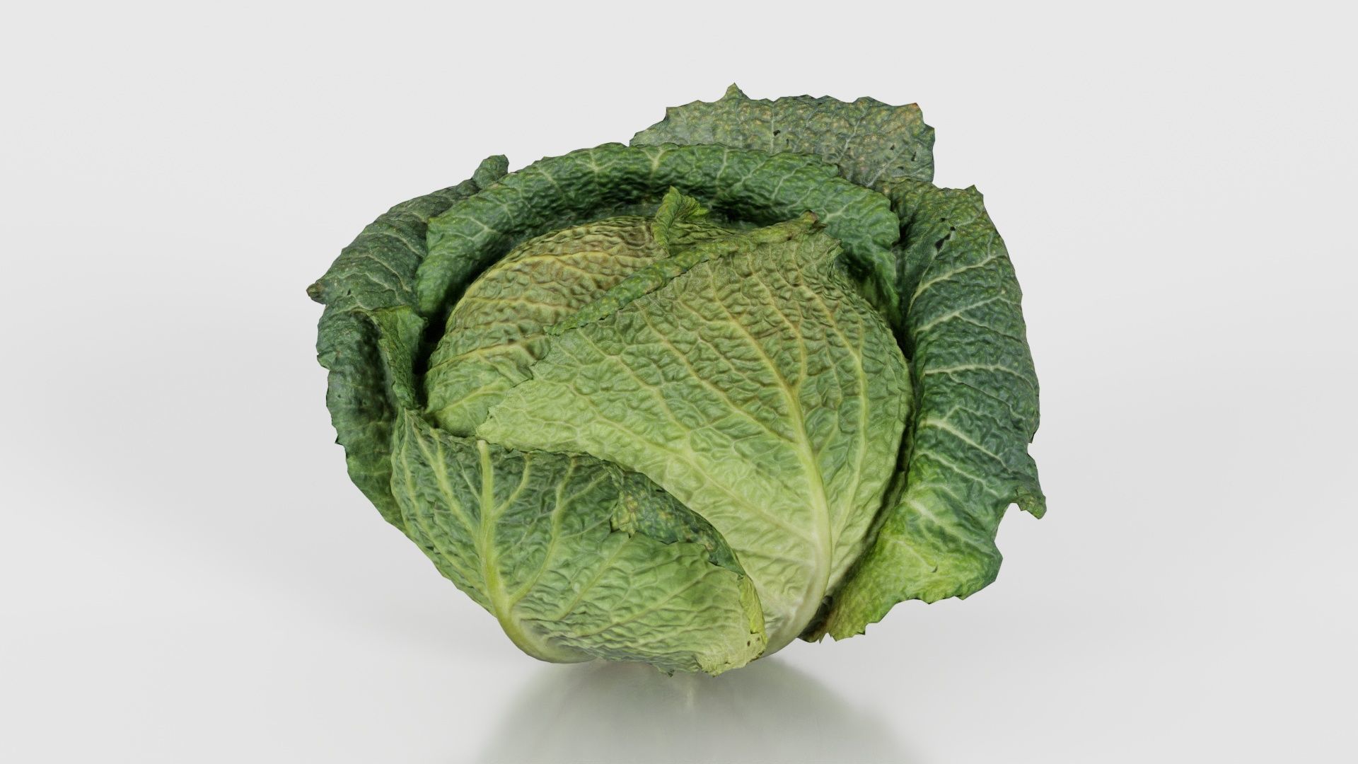 78 Fruit and Vegetable Superbundle 3D Model Collection_50