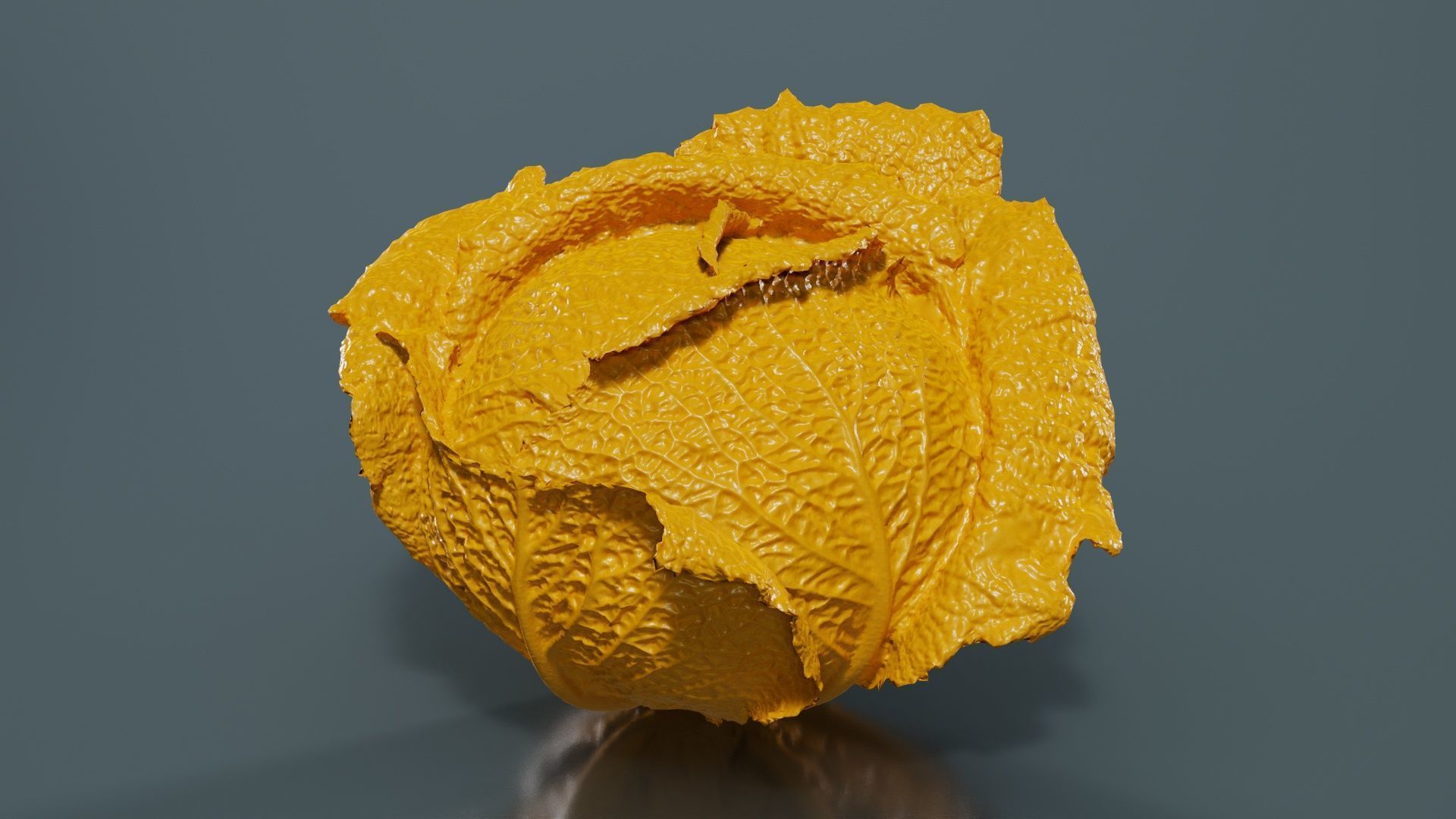 78 Fruit and Vegetable Superbundle 3D Model Collection_17