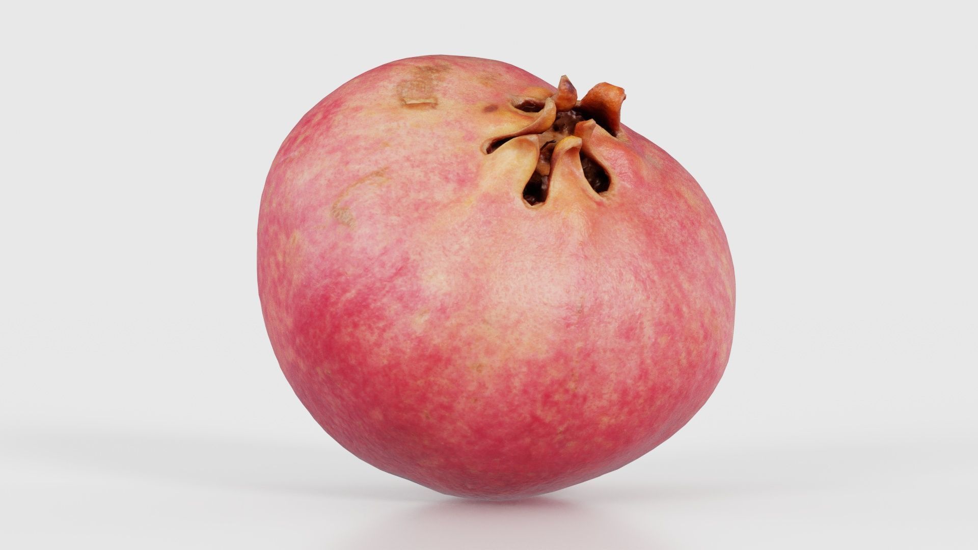 78 Fruit and Vegetable Superbundle 3D Model Collection_46